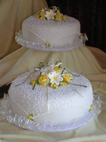 novios 236
